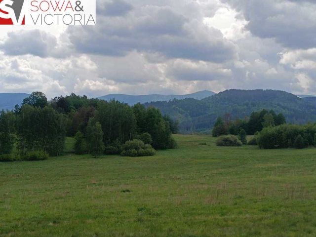 Działka rolna Głębock. Zdjęcie 12