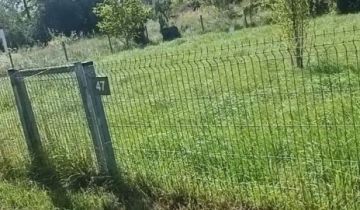 Działka rod Gdańsk Olszynka, ul. Opłotki