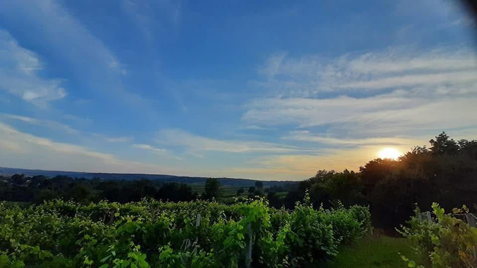 Działka rolna Szczebrzeszyn. Zdjęcie 3