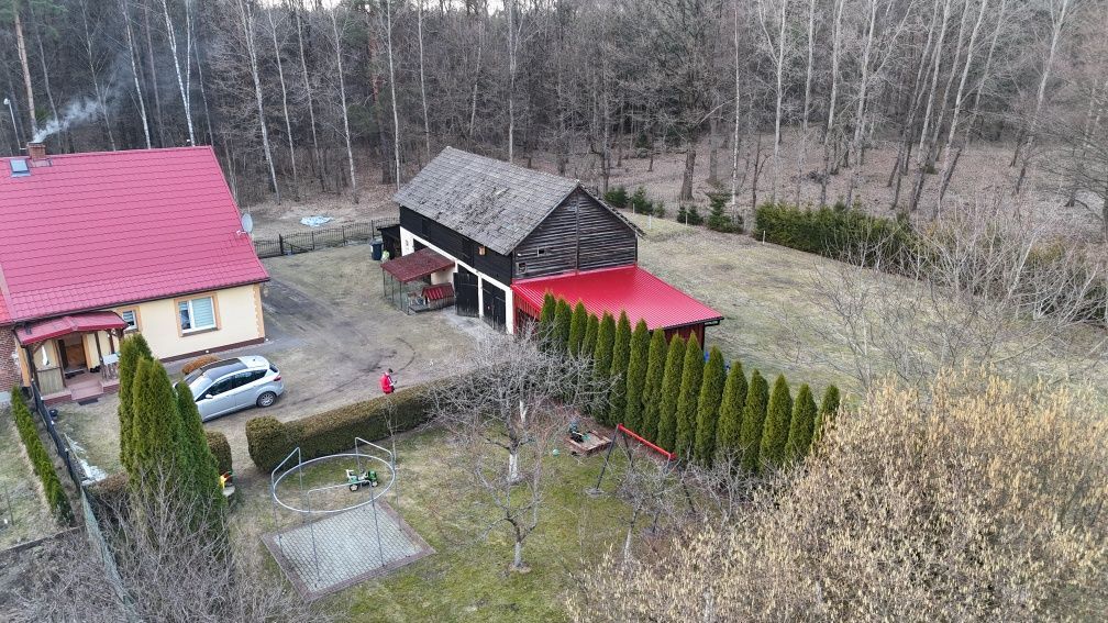 bliźniak Nosibądy. Zdjęcie 8