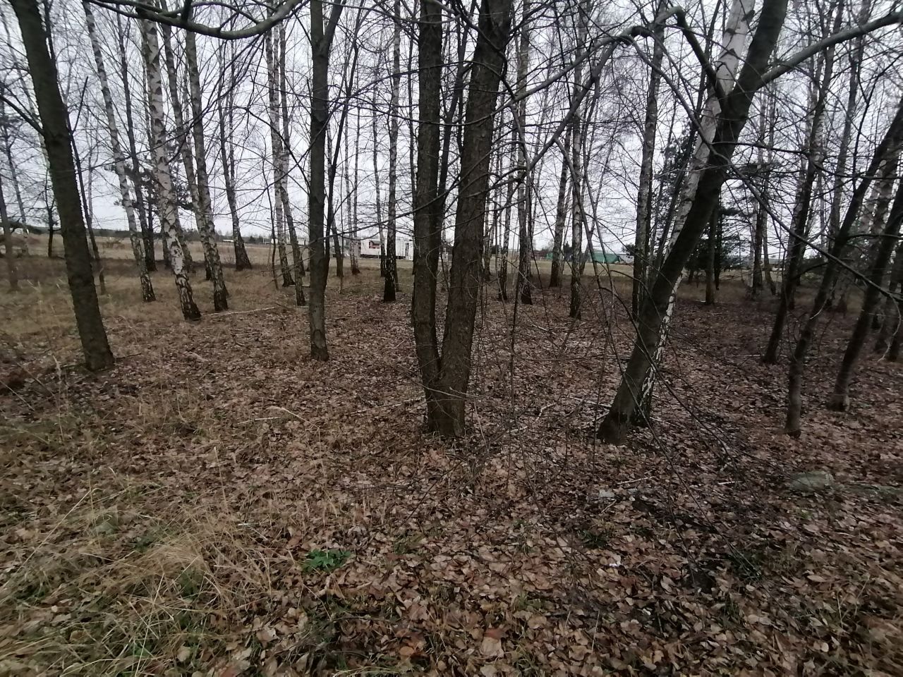 Działka budowlana Sękocin Nowy, .. Zdjęcie 3