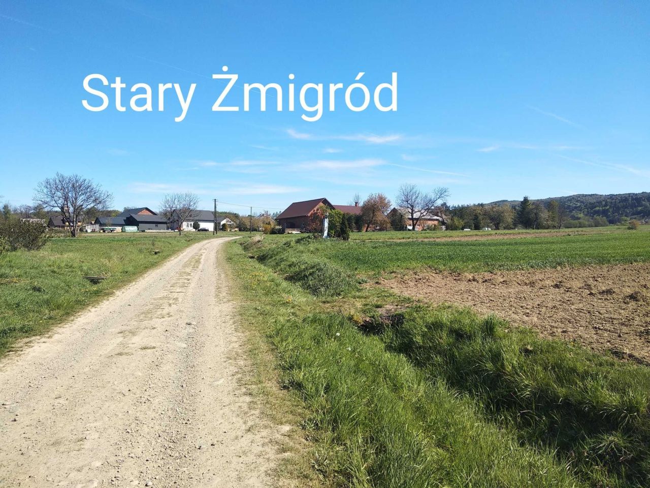 Działka rolna Nowy Żmigród. Zdjęcie 3