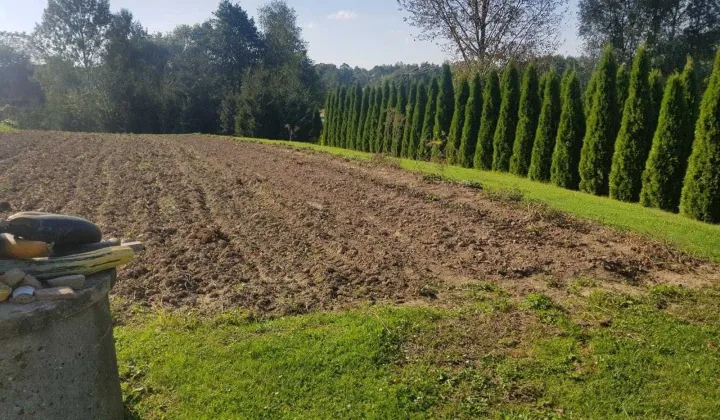 Działka budowlana Chmielnik