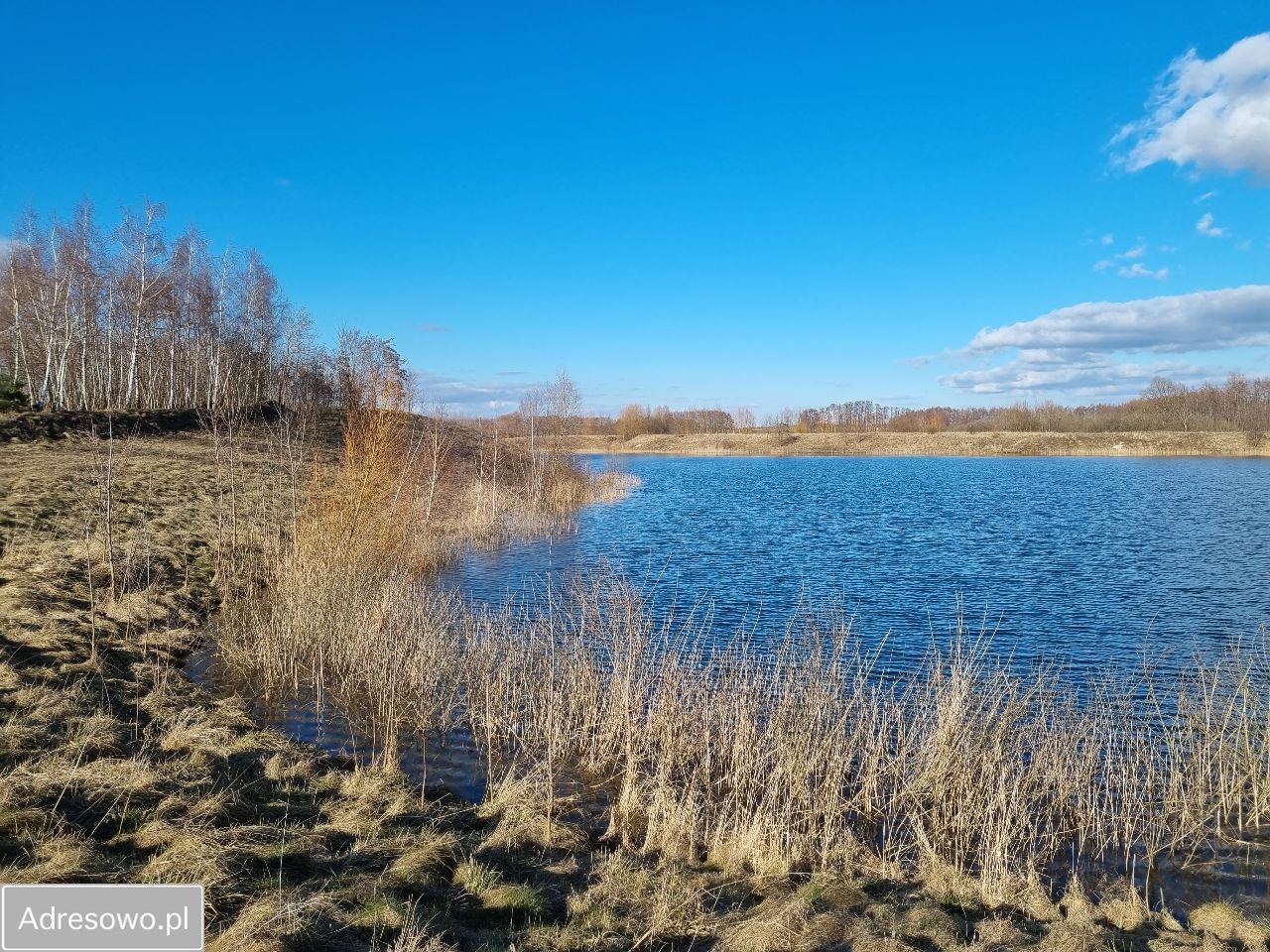 Działka Bilno. Zdjęcie 10