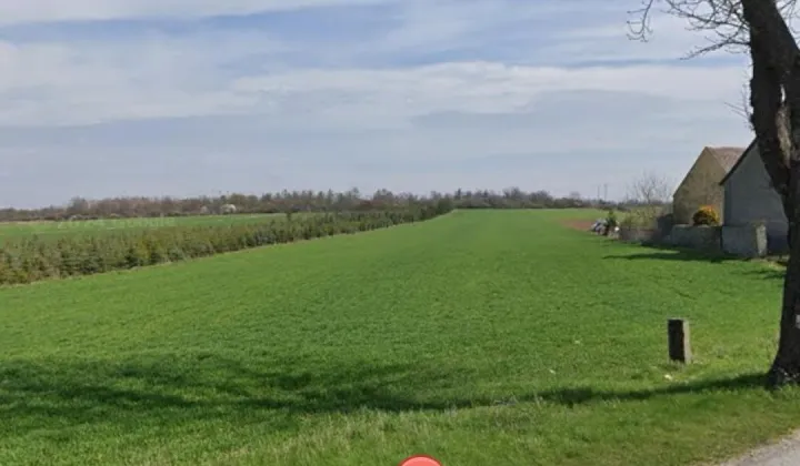 Działka rolna Gogolin, ul. Strzelecka