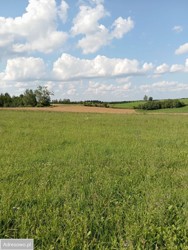 Działka rolno-budowlana Krasnogruda
