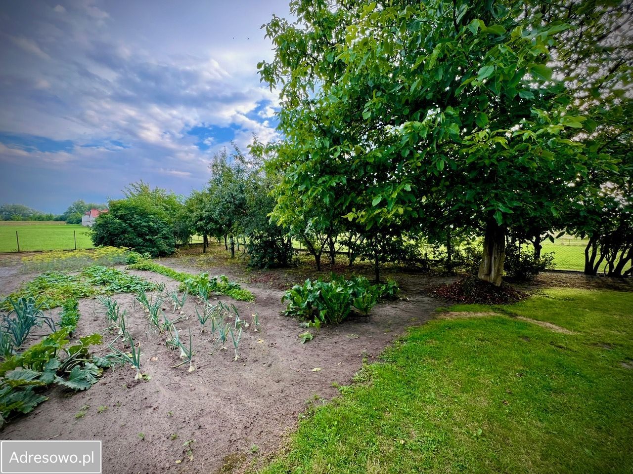 dom wolnostojący, 2 pokoje Wróble-Wargocin. Zdjęcie 7