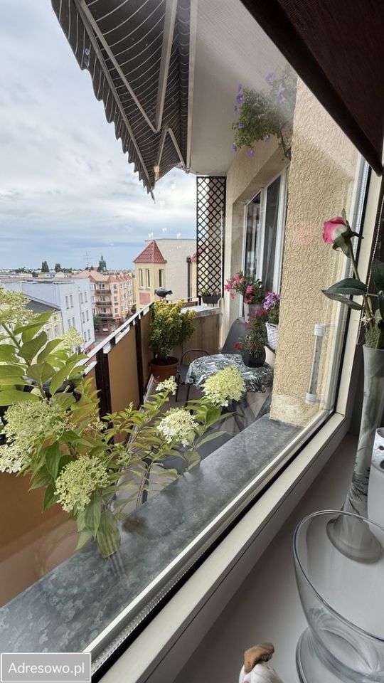 Mieszkanie 3-pokojowe Bydgoszcz Szwederowo. Zdjęcie 4