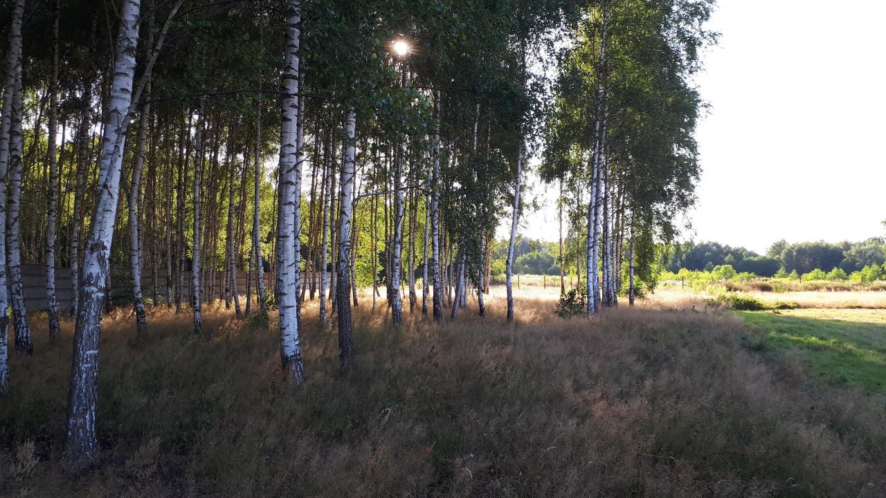 Działka budowlana Miąse, ul. Napoleońska. Zdjęcie 7