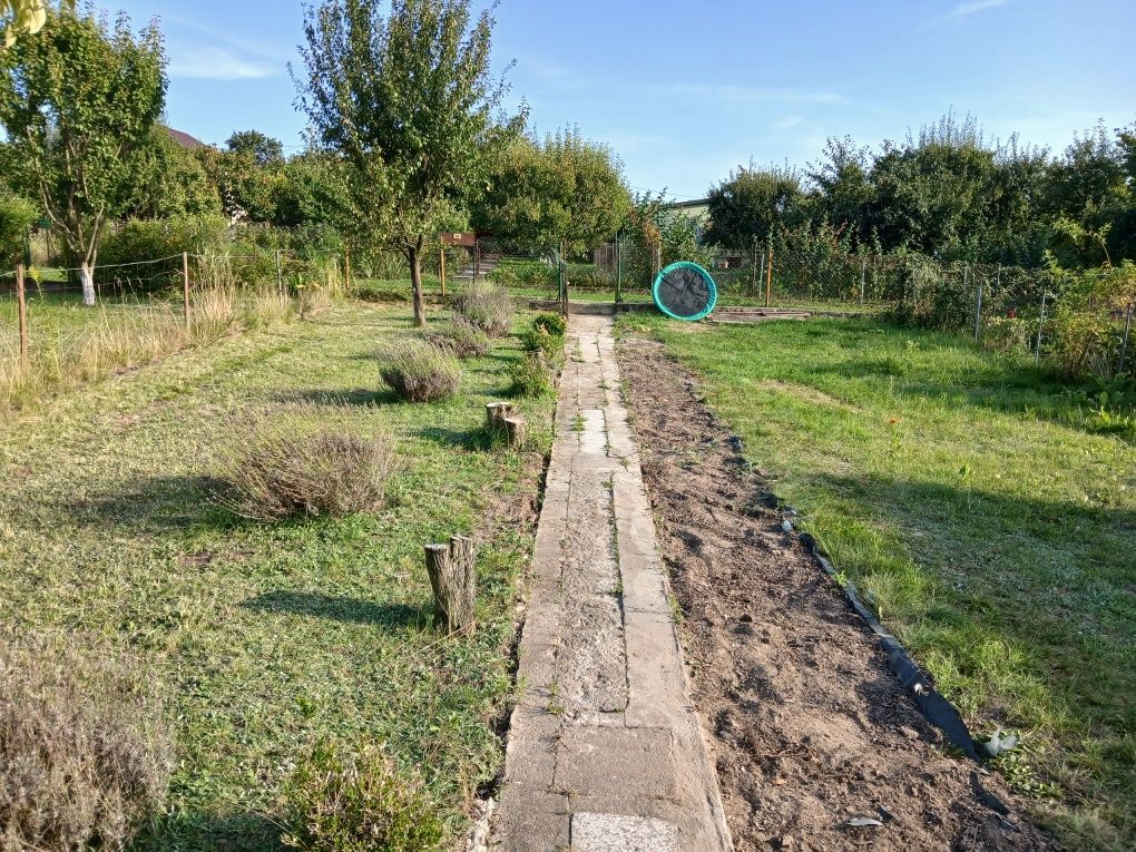 Działka rod Rypin. Zdjęcie 2