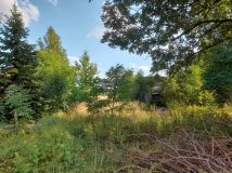 Działka rolno-budowlana Szydłów. Zdjęcie 1