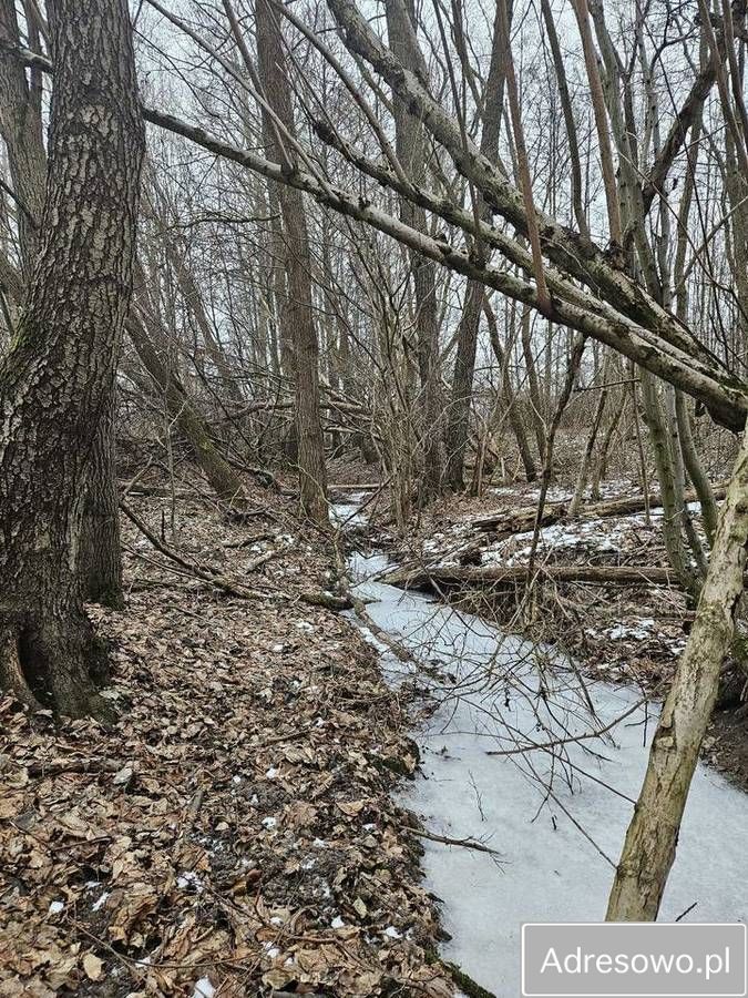 Działka budowlana Łazy Wielkie. Zdjęcie 7