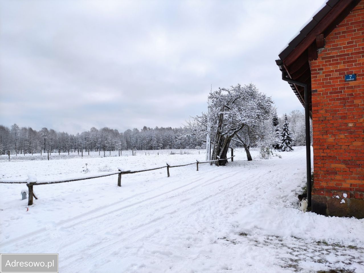 Działka rolno-budowlana Wiewiórowo. Zdjęcie 18