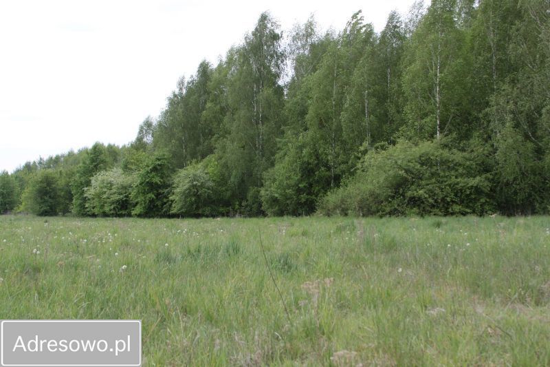 Działka budowlana Gąski. Zdjęcie 3