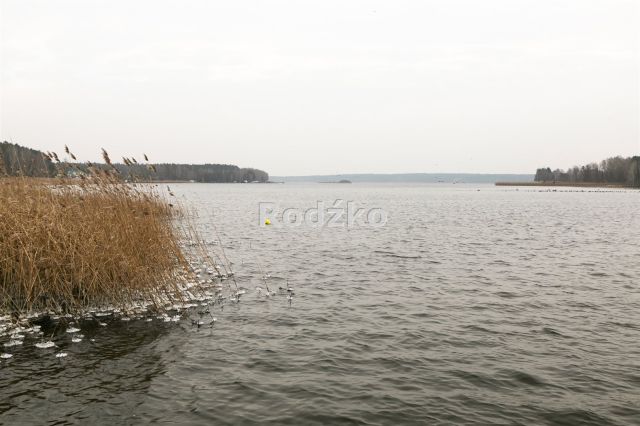 dom letniskowy, 4 pokoje Koronowo Srebrnica, ul. Żurawia. Zdjęcie 20