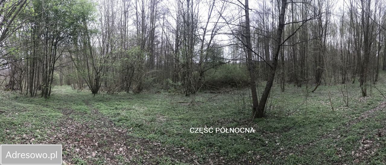 Działka inna Siemczyno. Zdjęcie 5