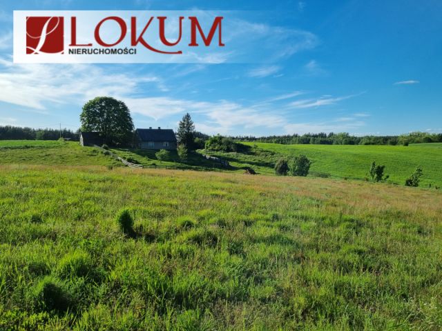 Działka budowlana Lipy. Zdjęcie 6