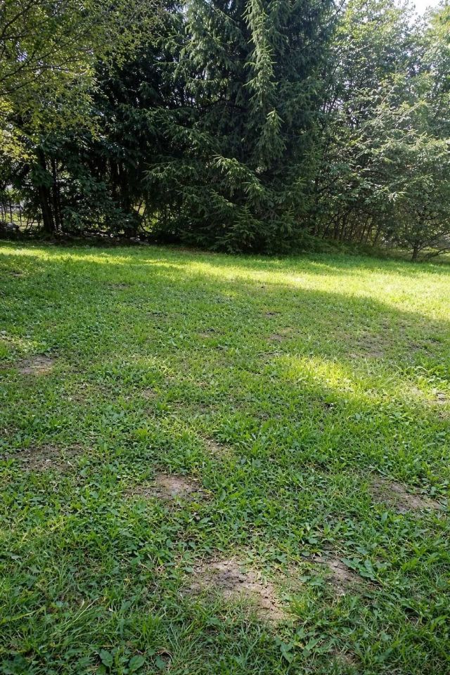 Działka budowlana Dalestowice. Zdjęcie 2