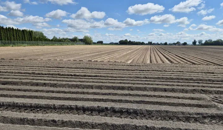 Działka siedliskowa Poniatowa-Kolonia