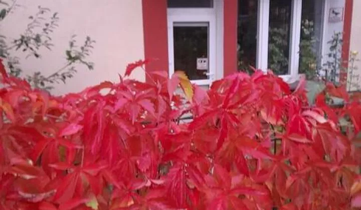 Lokal Białystok Centrum, al. Józefa Piłsudskiego