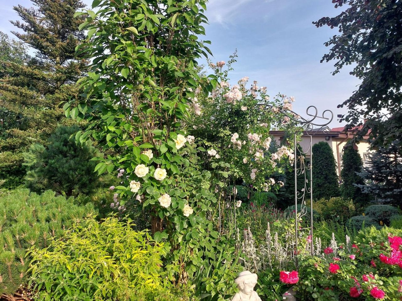 dom wolnostojący, 5 pokoi Przasnysz, ul. Zawodzie. Zdjęcie 3