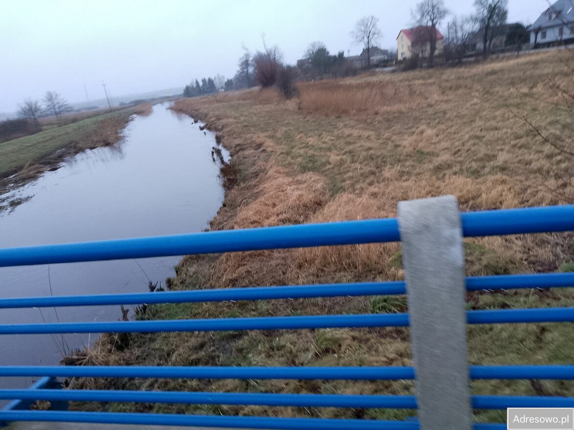 Działka rolna Jeżyczki. Zdjęcie 2