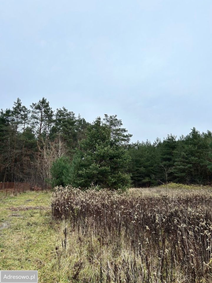 Działka budowlana Wola Aleksandra, ul. Wolska. Zdjęcie 2