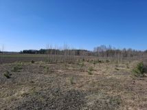 Działka rolno-budowlana Wity