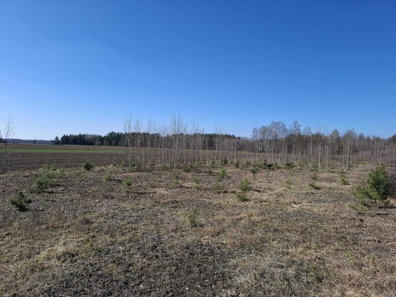 Działka rolno-budowlana Wity