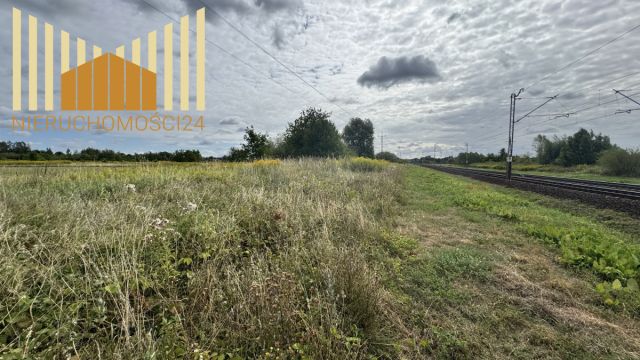 Działka budowlana Dębe Wielkie. Zdjęcie 2