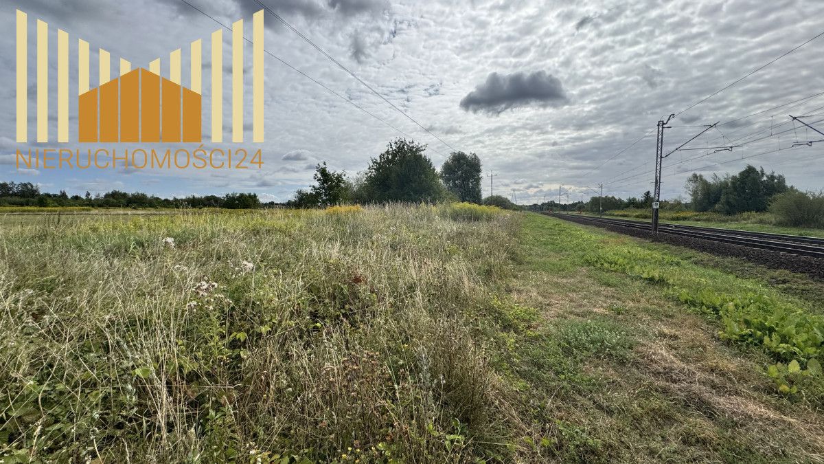 Działka budowlana Dębe Wielkie. Zdjęcie 2