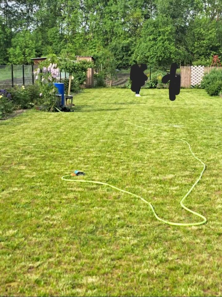 Działka rod Koroszczyn. Zdjęcie 2