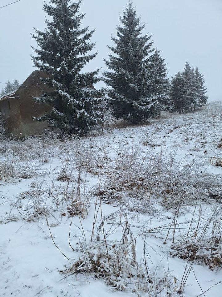 Działka rolno-budowlana Gostków. Zdjęcie 3