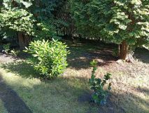 Działka rod Nadarzyn, ul. Żółwińska. Zdjęcie 1