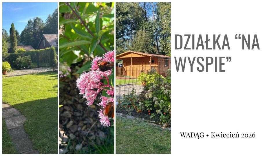 Działka rod Wadąg. Zdjęcie 7