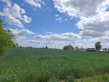 Działka rolno-budowlana Białaszewo-Kolonia, Białaszewo kolonia. Zdjęcie 4
