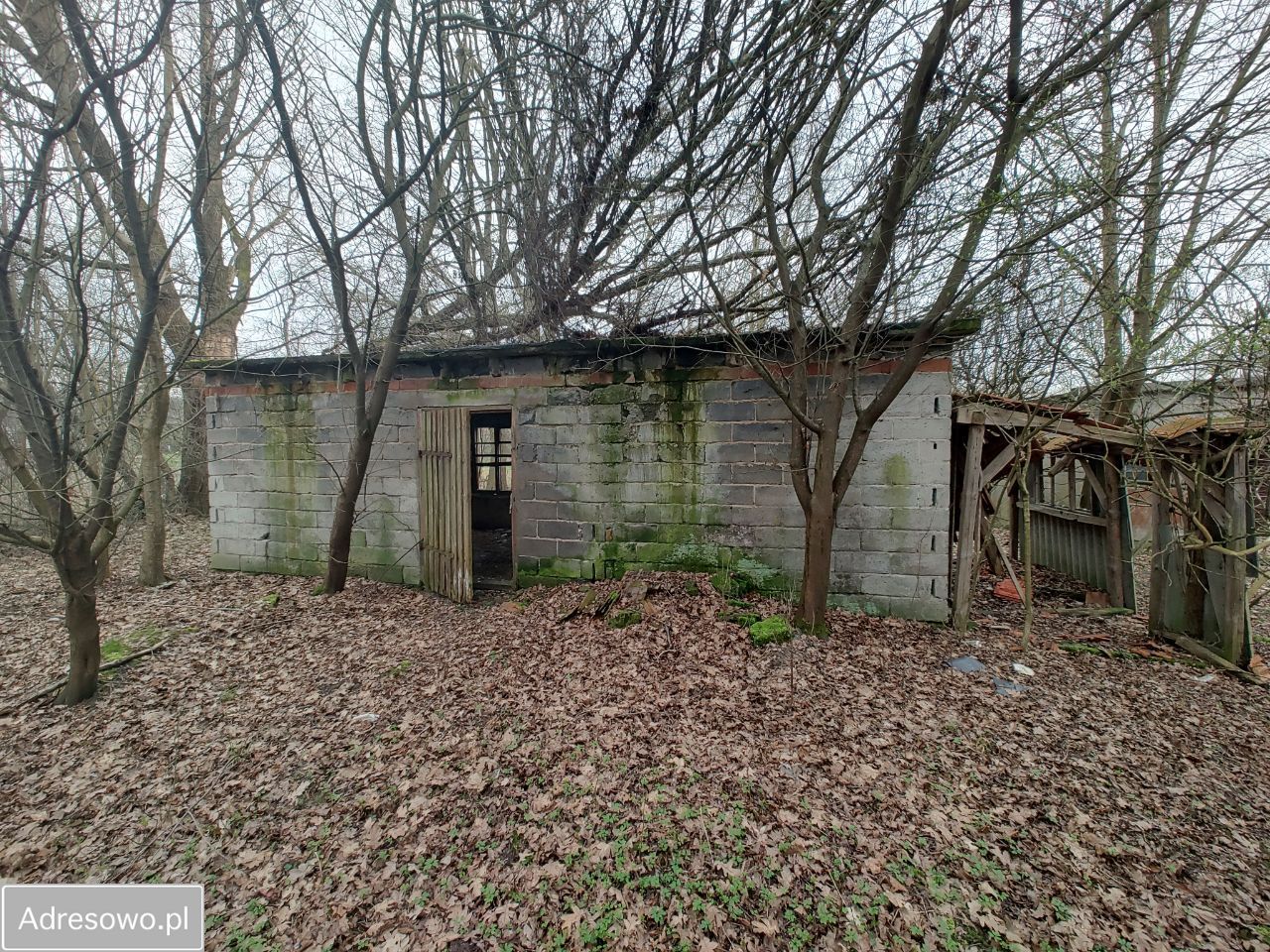 Działka rolno-budowlana Ryszkowa Wola. Zdjęcie 2