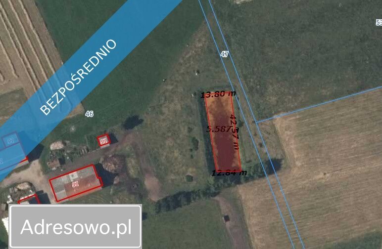 siedlisko Gawliki Wielkie. Zdjęcie 5