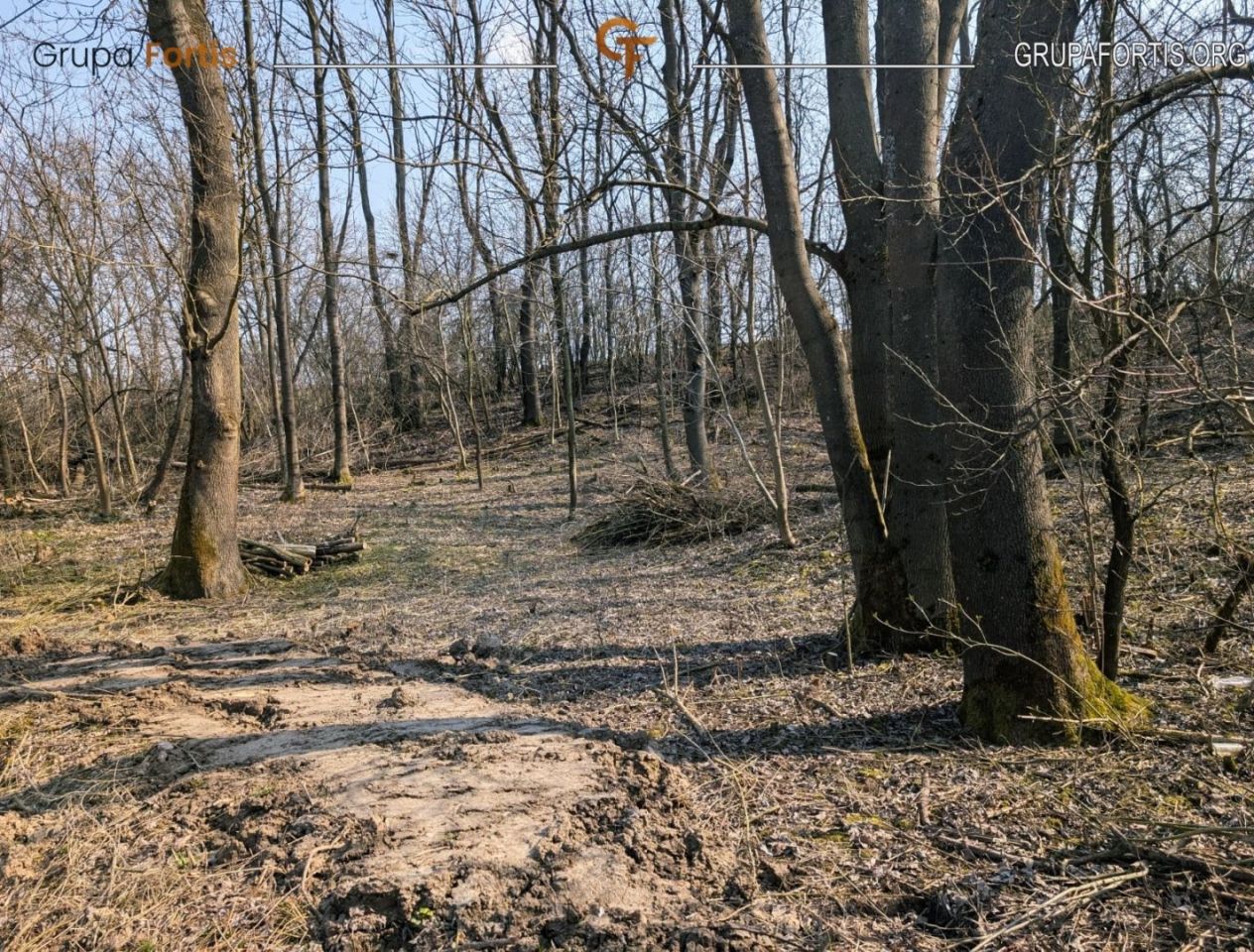 Działka siedliskowa Dębiany. Zdjęcie 7