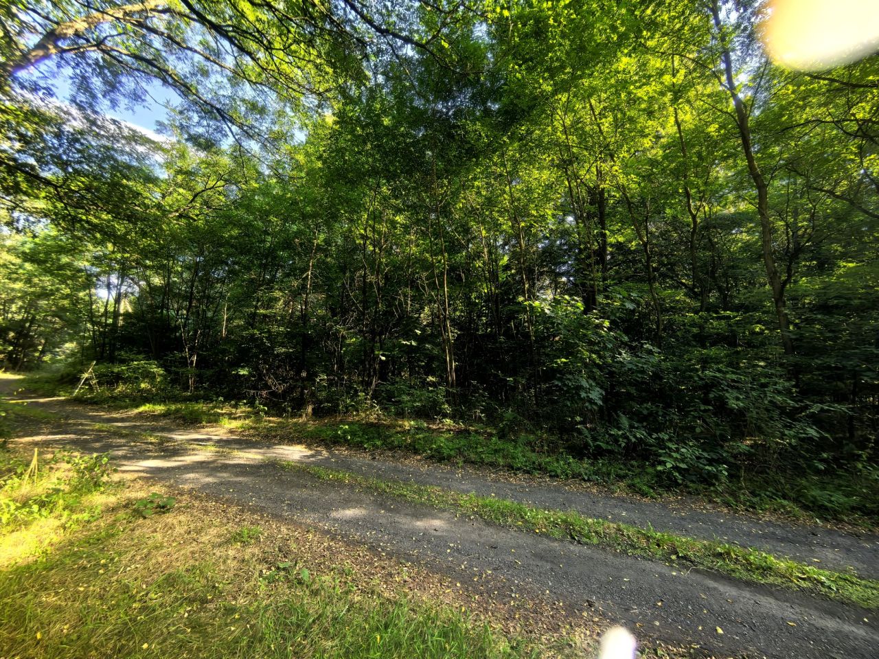 Działka budowlana Klizin. Zdjęcie 3