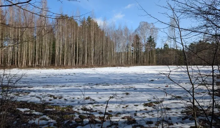 Działka rolno-budowlana Patryki