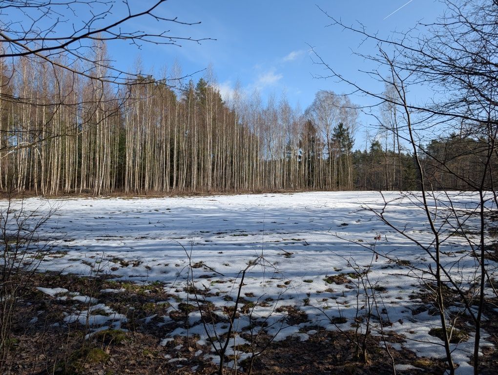 Działka rolno-budowlana Patryki. Zdjęcie 1