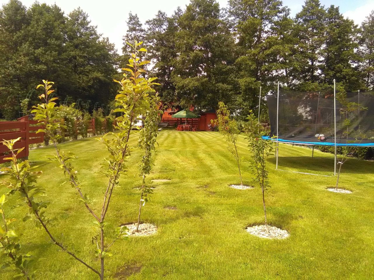 Działka rekreacyjna Nasy. Zdjęcie 7