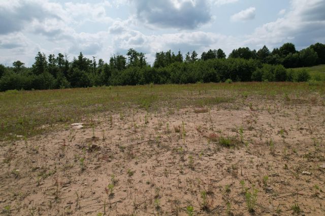 Działka rolno-budowlana Chojno. Zdjęcie 5