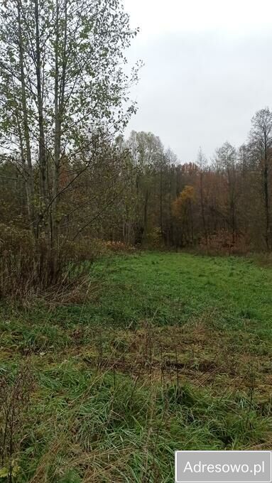 Działka budowlana Guja