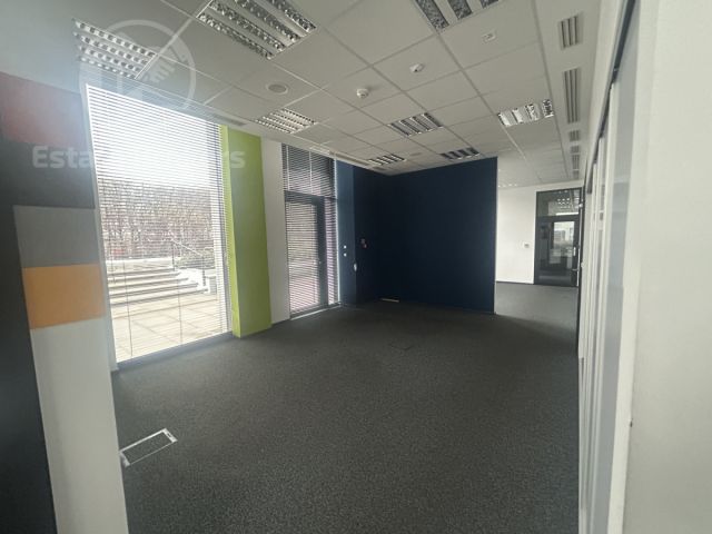 Lokal Wrocław Plac Grunwaldzki, ul. Szczytnicka. Zdjęcie 6