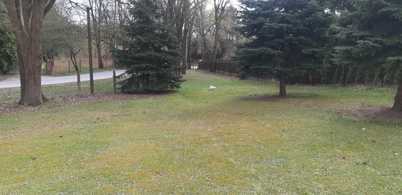 Działka budowlana Konstancin-Jeziorna, ul. Gdańska. Zdjęcie 3