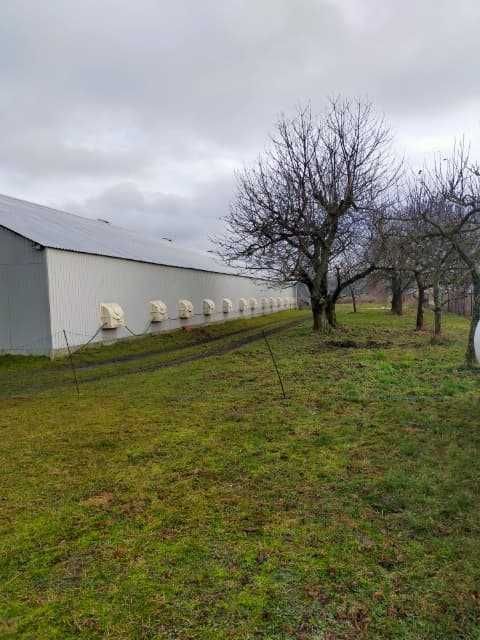 gospodarstwo Rzeszotków. Zdjęcie 5