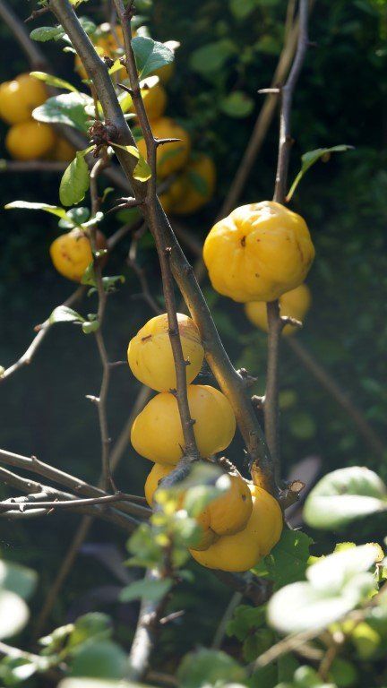 Biuro Niedalino. Zdjęcie 17