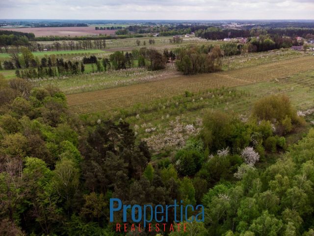 Działka budowlana Kocerany, ul. Nowy Trakt. Zdjęcie 11